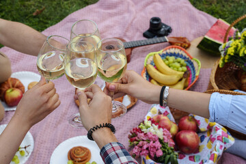 Shot of friends at picnic drinking champagne enjoying their holidays in summer park.