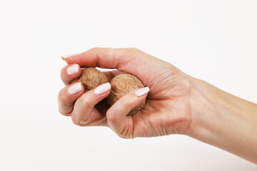 Walnuts in a girl's hand on a white background. Close-up