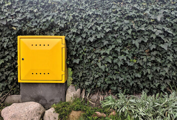 Yellow gas cabinet in the flower bed