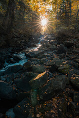 river in autumn forest