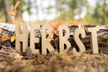 Herbst Schriftzug aus Holzbuchstaben im Wald mit verschiedenen Hintergründen.