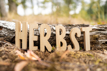 Herbst Schriftzug aus Holzbuchstaben im Wald mit verschiedenen Hintergründen.