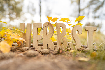 Herbst Schriftzug aus Holzbuchstaben im Wald mit verschiedenen Hintergründen.