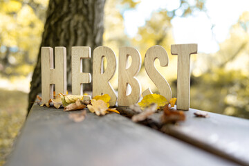 Herbst Schriftzug aus Holzbuchstaben im Wald mit verschiedenen Hintergründen.