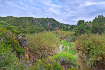 Fototapeta premium Green Spanish nature landscape. Blue sky. Beautiful nature landscape with water.