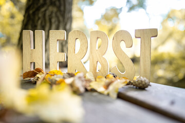 Herbst Schriftzug aus Holzbuchstaben im Wald mit verschiedenen Hintergründen.