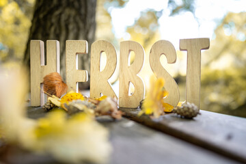 Herbst Schriftzug aus Holzbuchstaben im Wald mit verschiedenen Hintergründen.