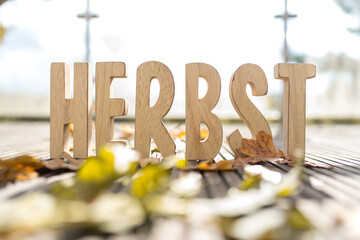 Herbst Schriftzug aus Holzbuchstaben im Wald mit verschiedenen Hintergründen.