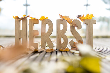 Herbst Schriftzug aus Holzbuchstaben im Wald mit verschiedenen Hintergründen.