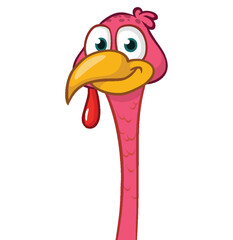 Cartoon happy cute thanksgiving turkey bird. Vector illustration isolated. Design for Thanksgiving Day
