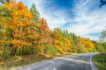 Landscape autumn road with colourful trees, autumn Poland, Europe and amazing blue sky with clouds, sunny day	