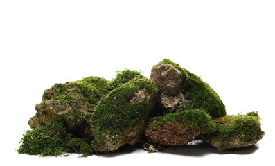 Green moss on stone, isolated on white 