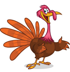 Cartoon happy cute thanksgiving turkey bird. Vector illustration isolated. Design for Thanksgiving Day