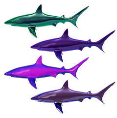 Materials Sharks