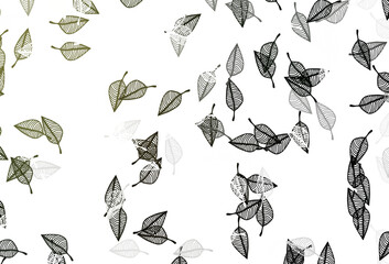 Obraz premium Light Green vector sketch background.