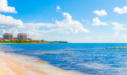 Fototapeta na wymiar Amazing tropical beach and caribbean sea clear turquoise water Mexico.