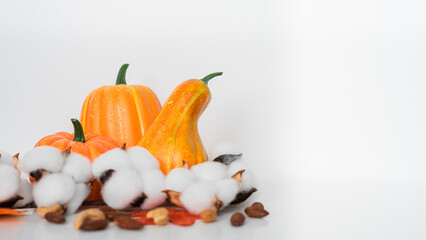 Isolated on white background pumpkin with cotton flower and nut scattered.