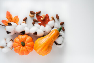 Isolated on white background pumpkin with cotton flower and nut scattered, autumn leawes. Top view. Space for text. 