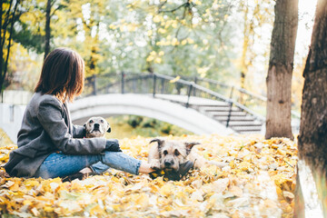 Women hugging dog in the autumn park. Cheerful lady with long dark hair hugs and strokes two friendly old dog sitting at public garden on nice autumn day.