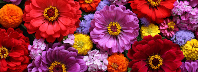 Obraz premium Colorful floral banner. Bouquet close-up, top view. Background, texture of garden flowers.