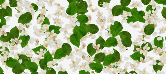 green leaves and white flowers background