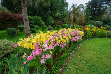 Palm trees and vivid flowerbed in the park