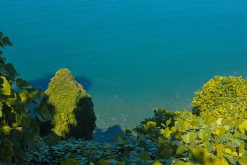 Fototapeta na wymiar View from above on blue colorful bright black sea and green bushes in sun light as summer subtropical sunny landscape in Batumi botanical garden