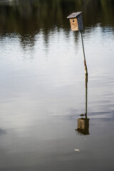 Bird house on a lake