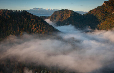 fog in the mountains