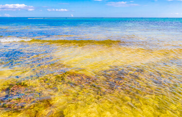 Tropical beach clear turquoise water rocks Playa del Carmen Mexico.
