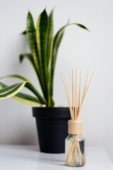 aroma diffuser wood stick for home near flowerpot
