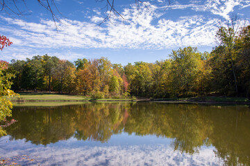 autumn in the park