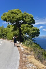 a man with a backpack walks along the road. Road on the island of Mljet with a view of the sea.