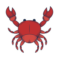 crab sea animal