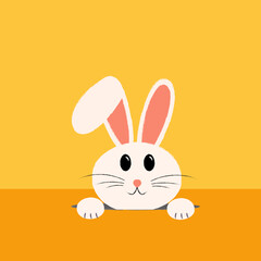 Peeking white rabbit on yellow background, vector