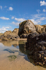 Mussels on rock formations at Perranporth beach in Cornwall, on a sunny day