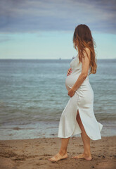 Fototapeta na wymiar A pregnant woman in a dress looks at the sea. Vertical photo