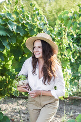A young girl on a grape plantation holds bunches of grapes in her hand
