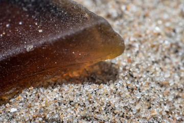 Worn and grounded beer bottle glass shard on sand beach.
