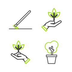 Set line Tree in pot, Plant hand of environmental protection, and Garden rake work icon. Vector