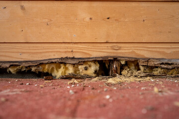 Water damaged floor and wall.