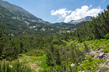 Landscape of Pirin Mountain, Bulgaria