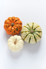 Different colorful pumpkins on the white background. Halloween or Thanksgiving concept top view. 