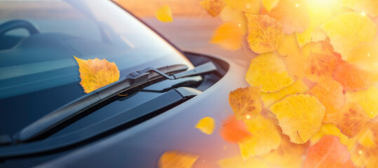 Yellow leaves and windshield of a car with an autumn leaf under the brush. The concept of cleaning products, polishing, anti-rain in the autumn season. copy space