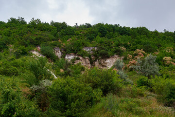The hilly nature of Eastern Europe. Background with copy space for text, toned