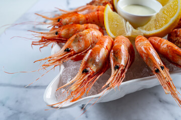 shrimp on ice champagne on a gray background