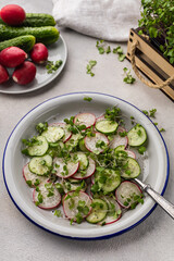 Fresh vegetarian radish and cucumber salad with microgreens