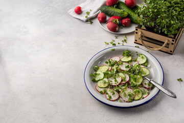 Fresh vegetarian radish and cucumber salad with microgreens