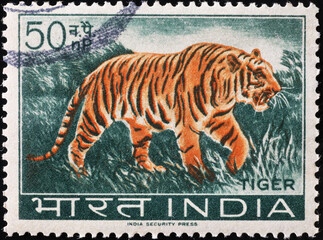 Tiger on old indian stamp - obrazy, fototapety, plakaty