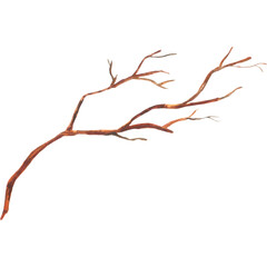 Watercolor autumn branch without leaves